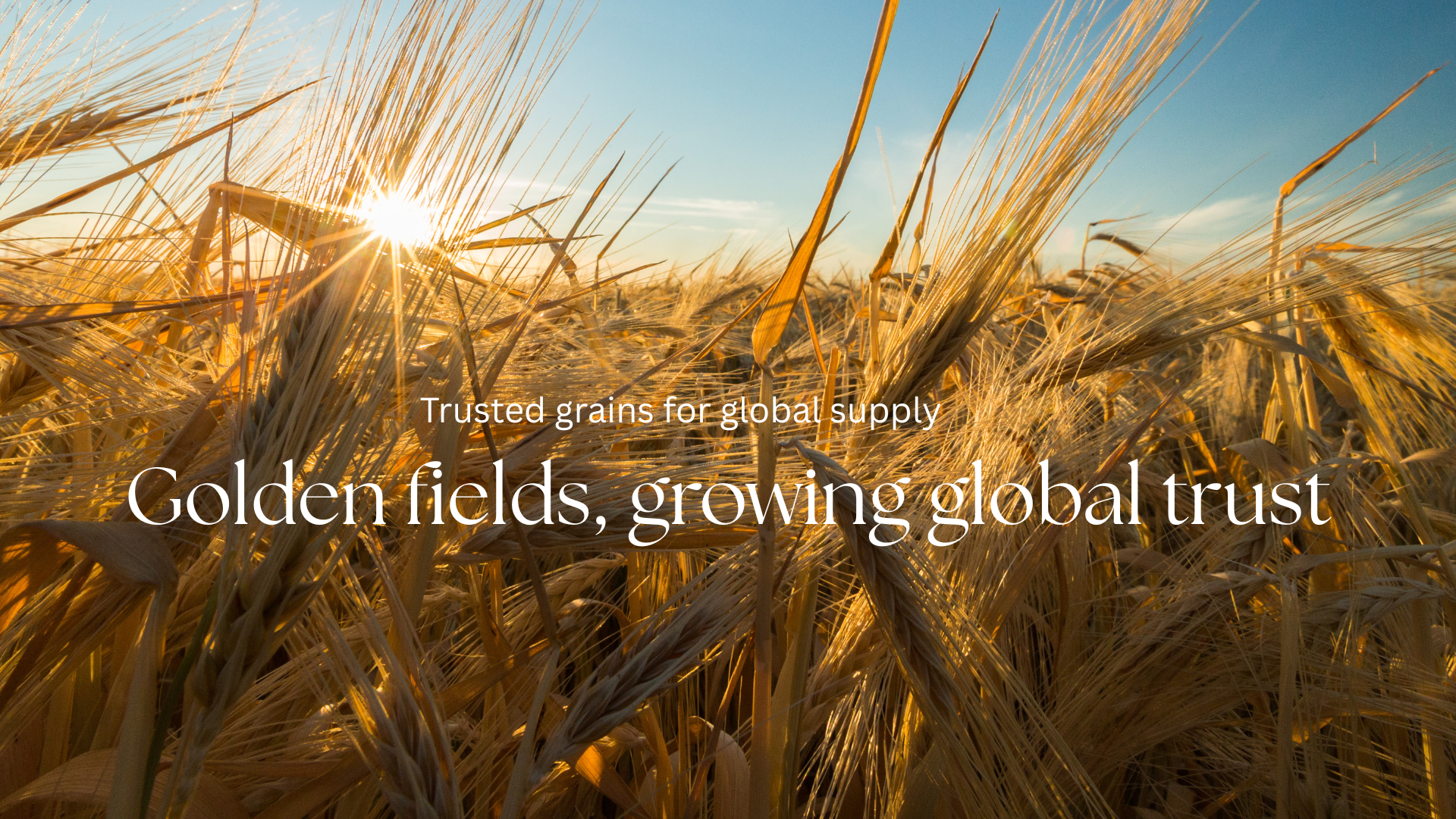 Brown and White Minimalist Modern Agriculture Presentation (2)