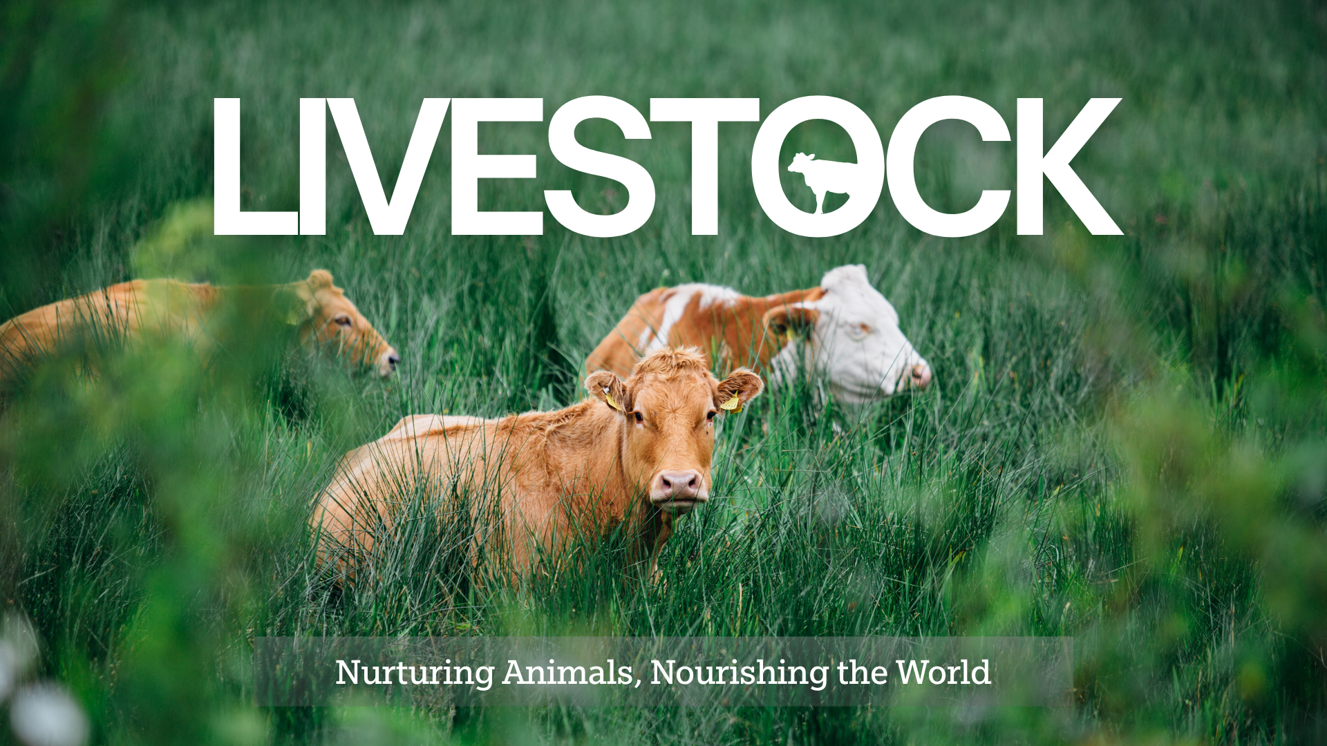 Brown and White Minimalist Modern Agriculture Presentation (4)