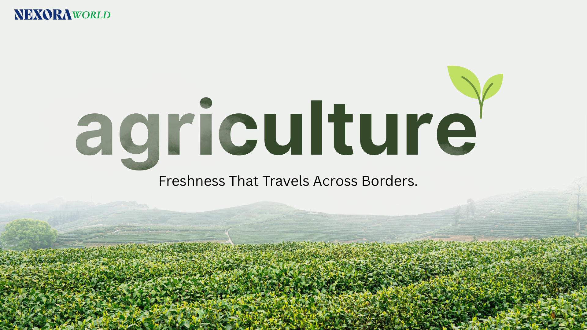 Green and White Modern Simple Agriculture Presentation